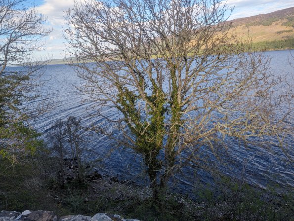 PXL_20240510_173826297