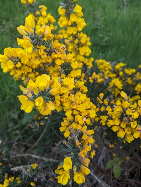 PXL_20240510_180954522