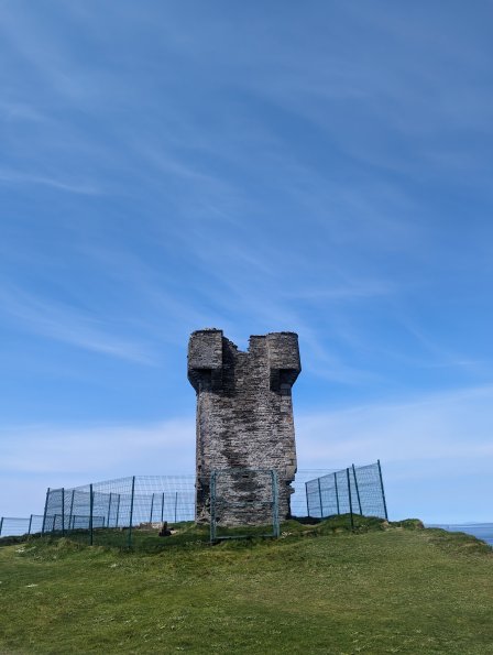 PXL_20240519_115511772